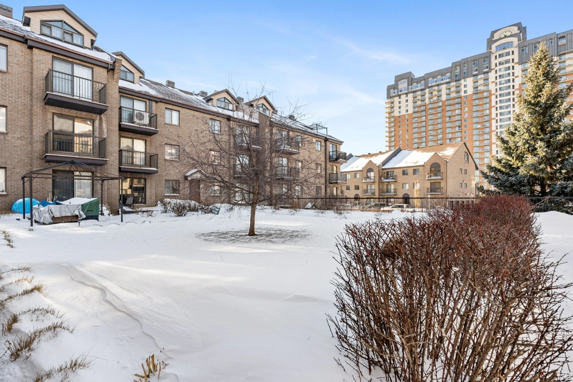 Face arrière Face arrière,