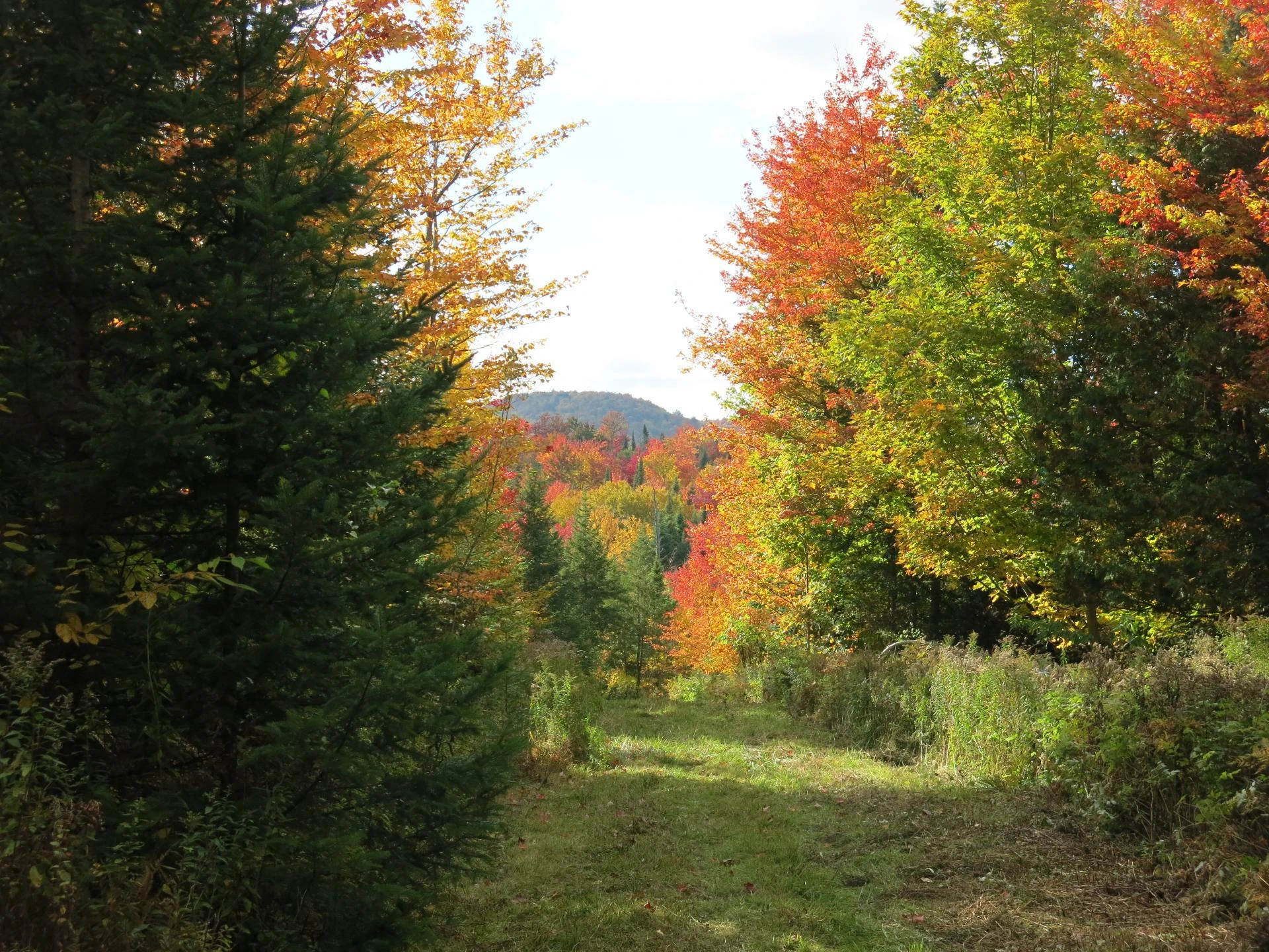 Terre/Terrain Terre/Terrain,