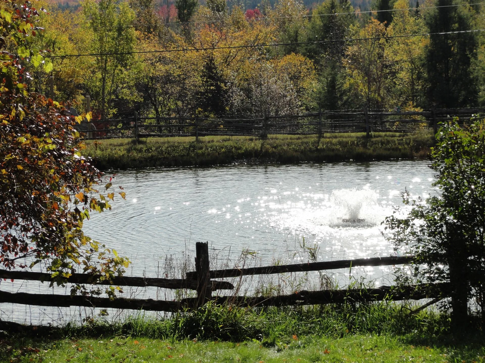 Vue sur l’eau Vue sur l'eau,