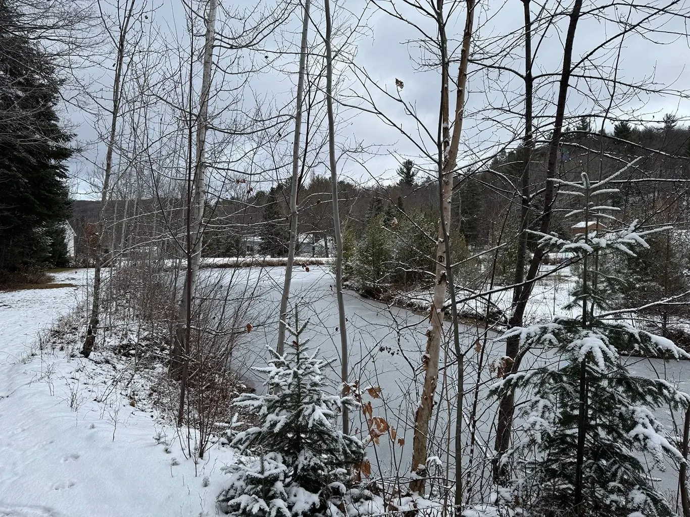 Terre/Terrain Terre/Terrain,