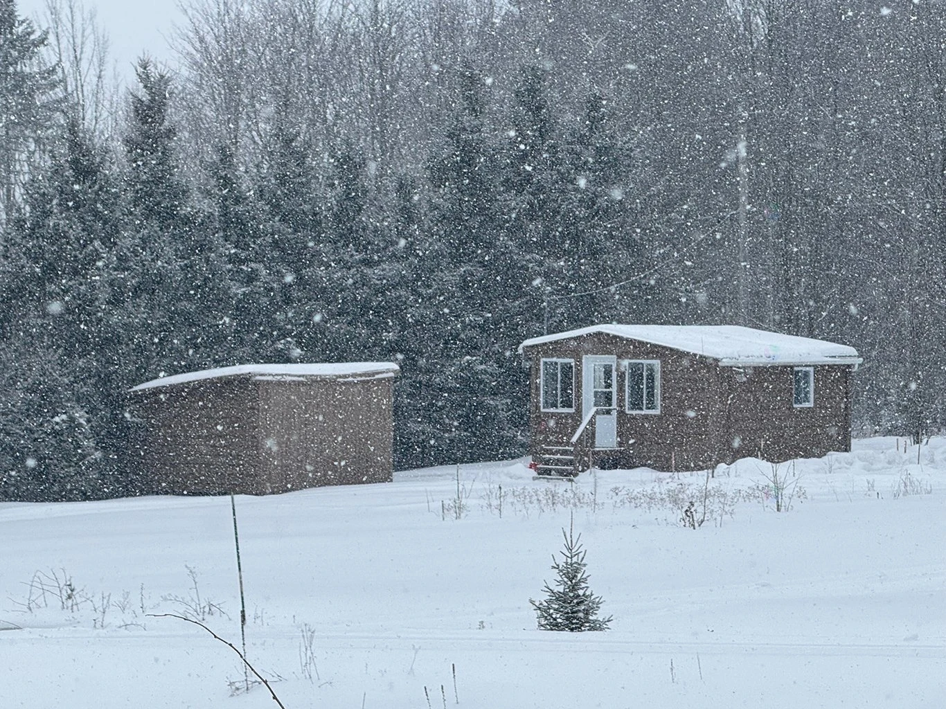 Terre/Terrain Terre/Terrain,