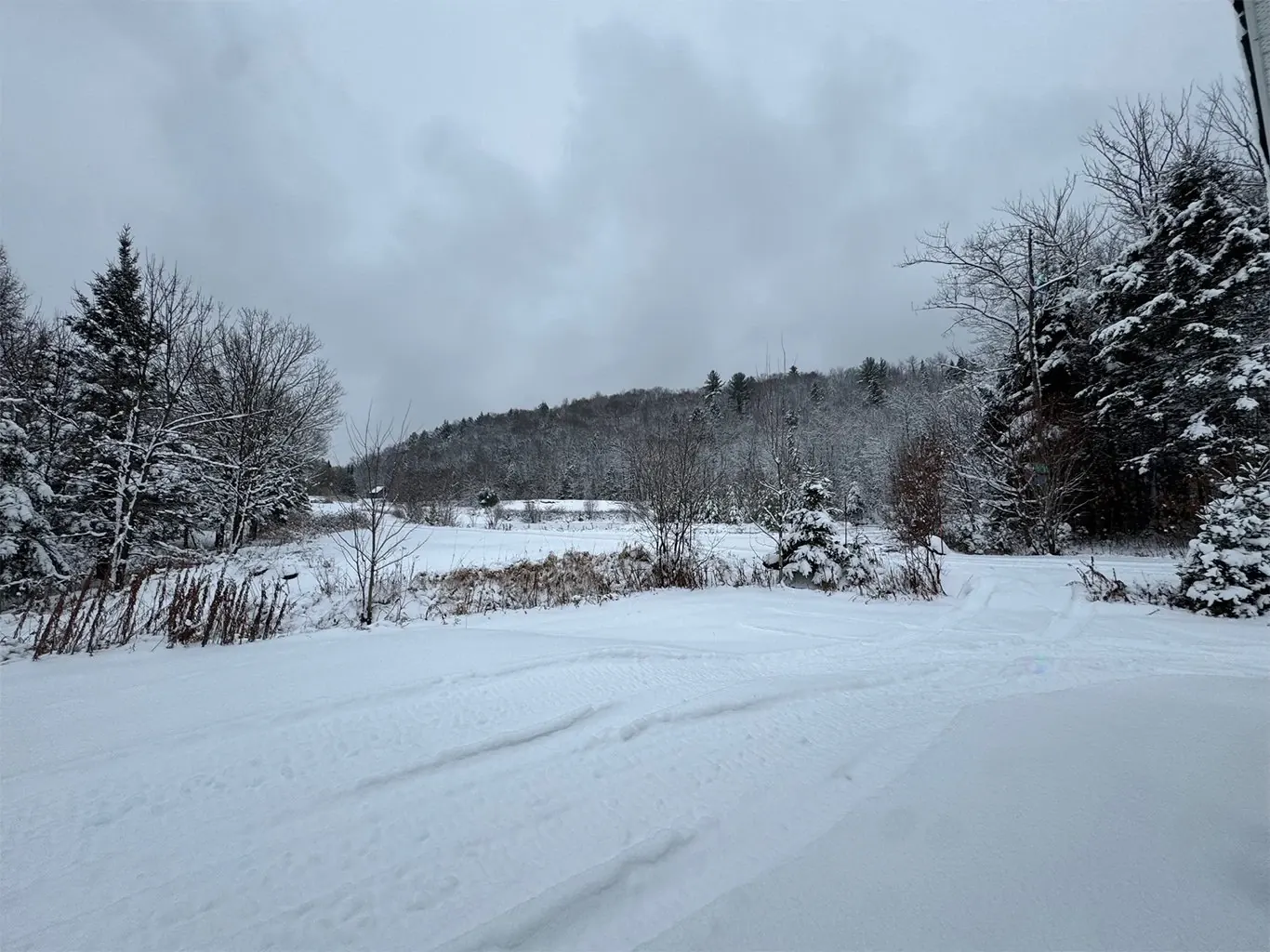 Terre/Terrain Terre/Terrain,