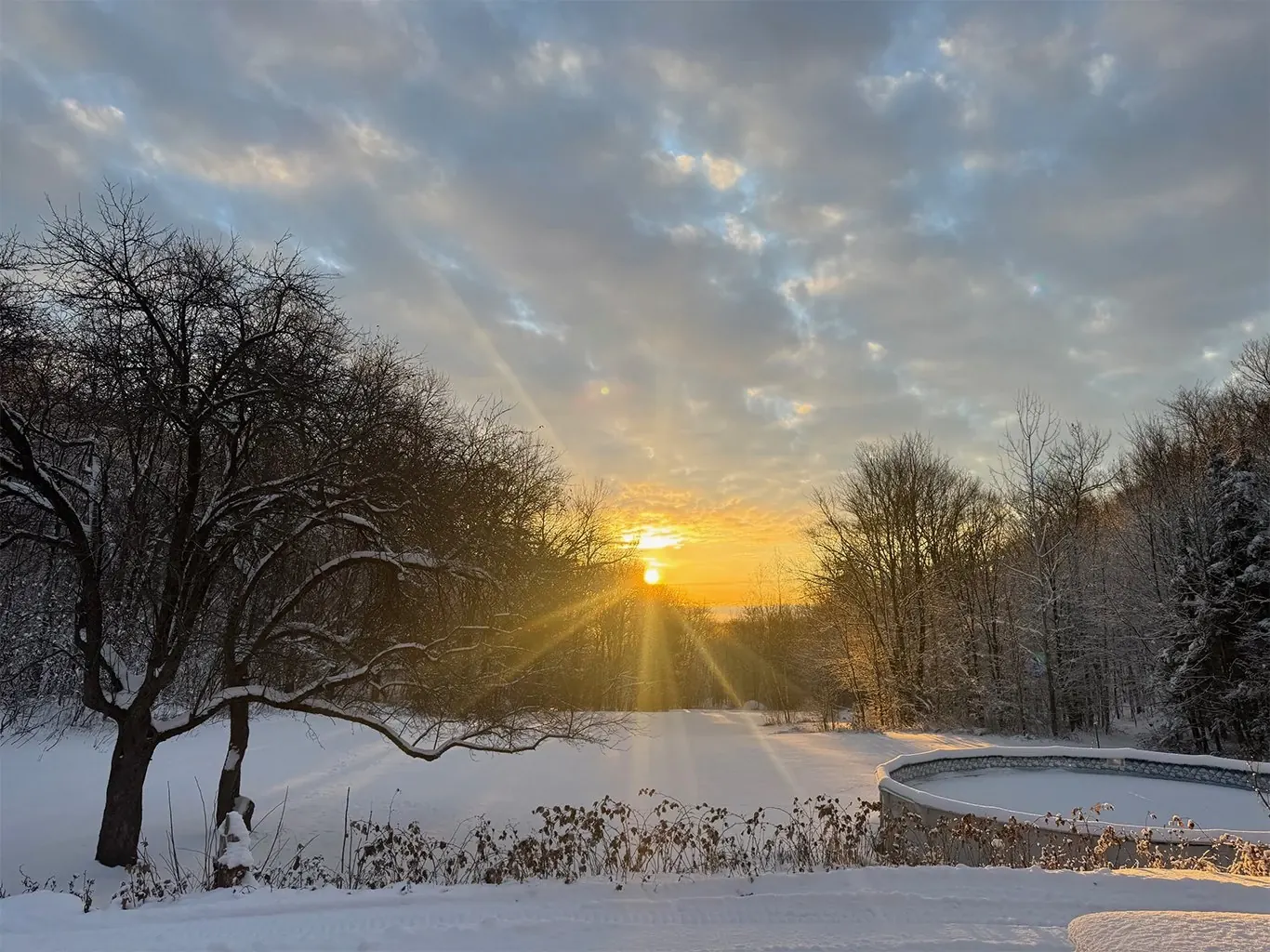 Terre/Terrain Terre/Terrain,