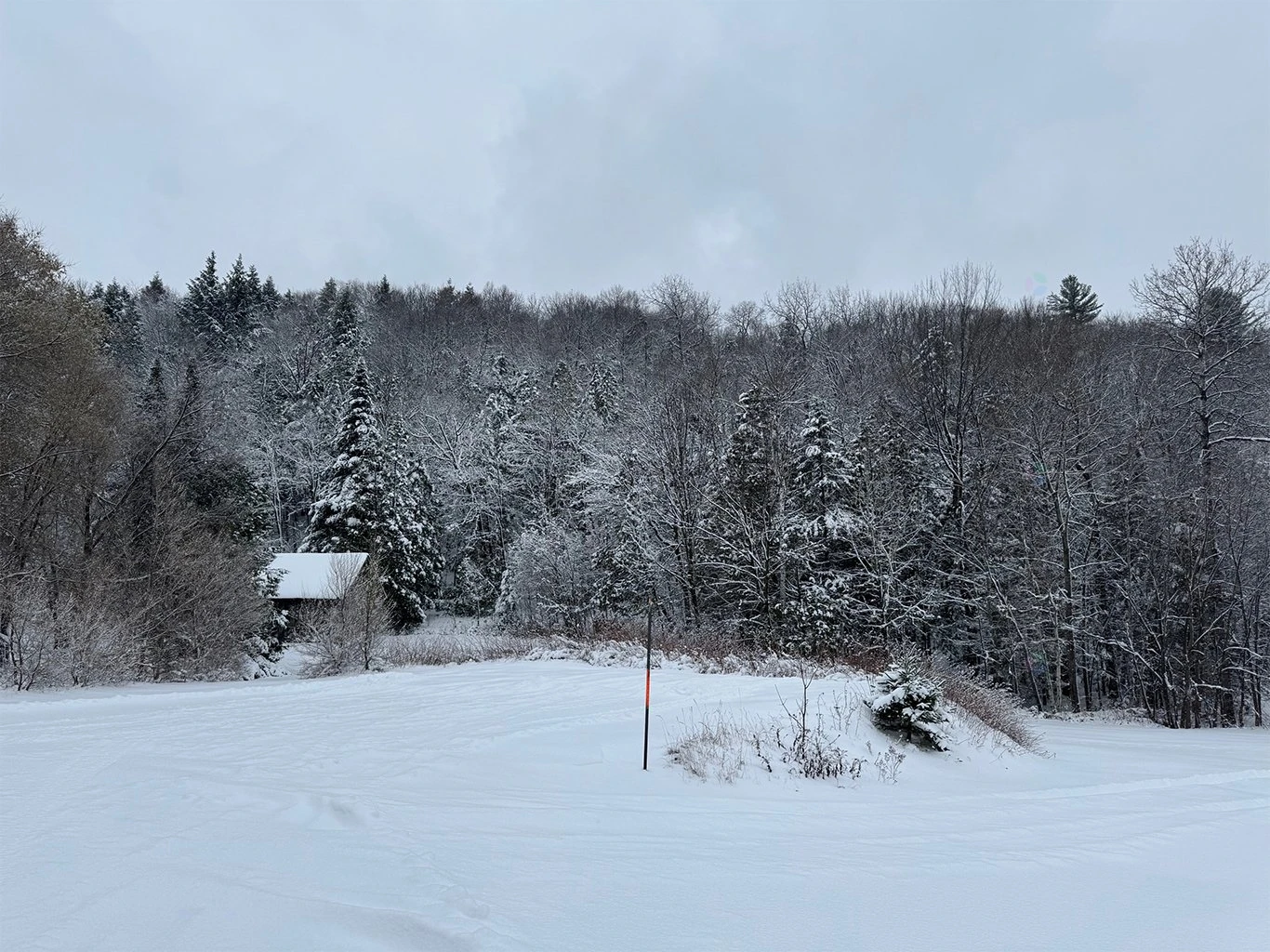 Terre/Terrain Terre/Terrain,