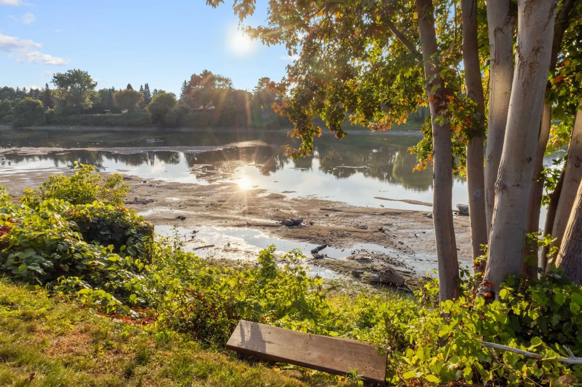 Vue sur l’eau Vue sur l'eau,