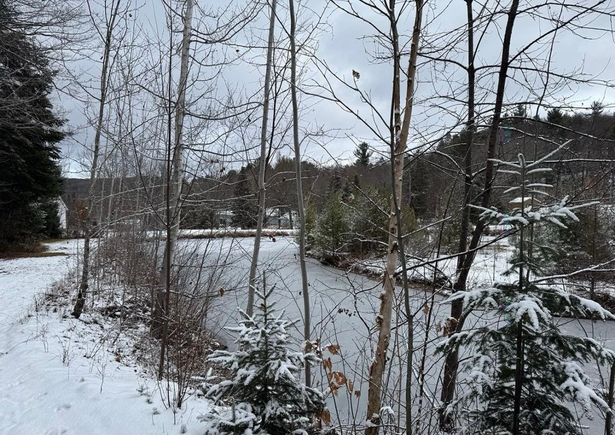 Terre/Terrain Terre/Terrain,