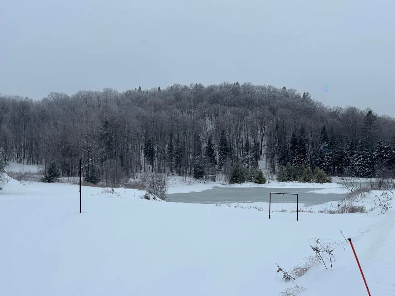 Terre/Terrain Terre/Terrain,