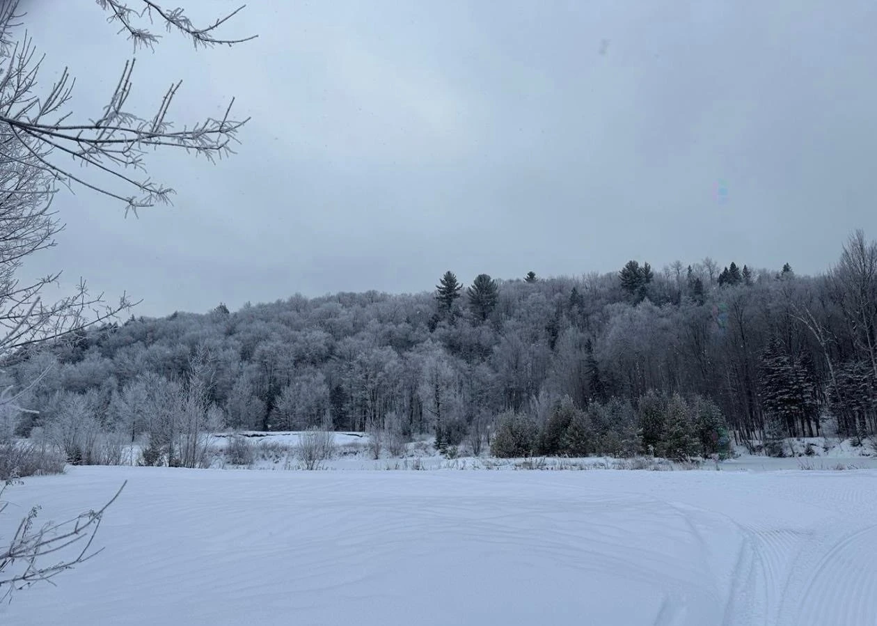 Terre/Terrain Terre/Terrain,