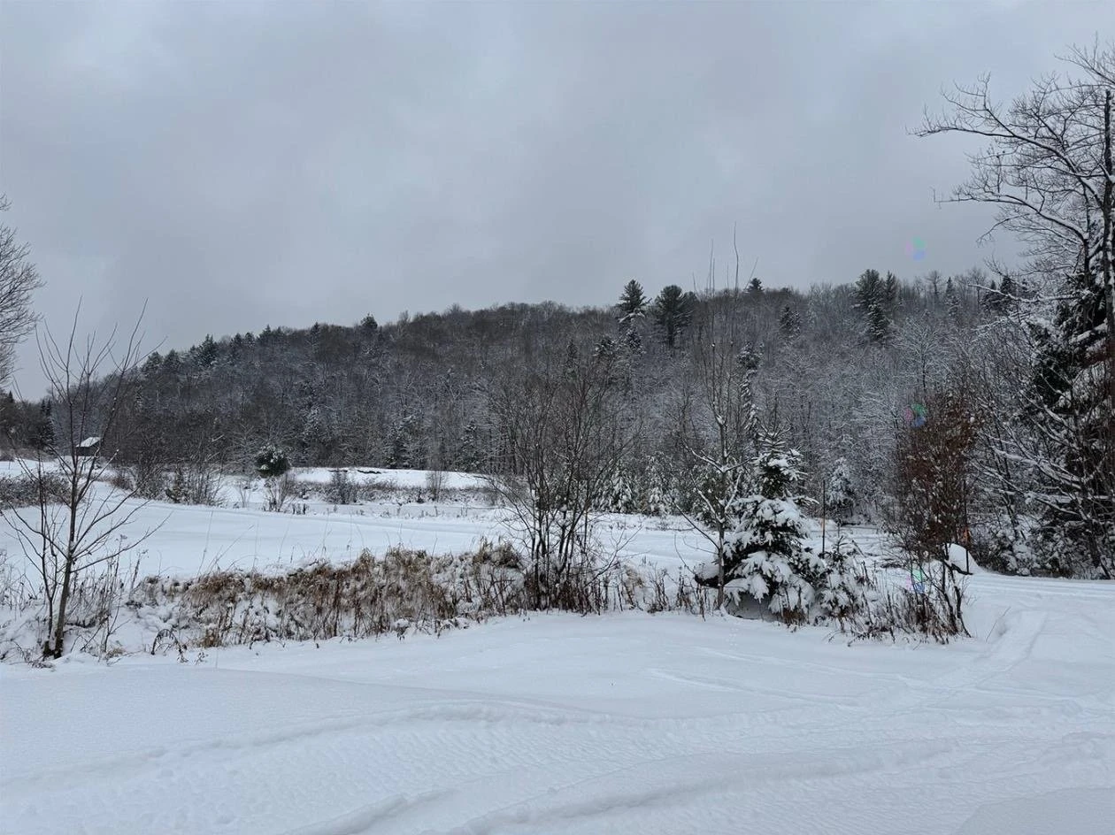 Terre/Terrain Terre/Terrain,