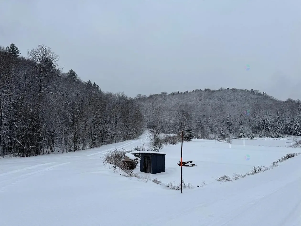 Terre/Terrain Terre/Terrain,