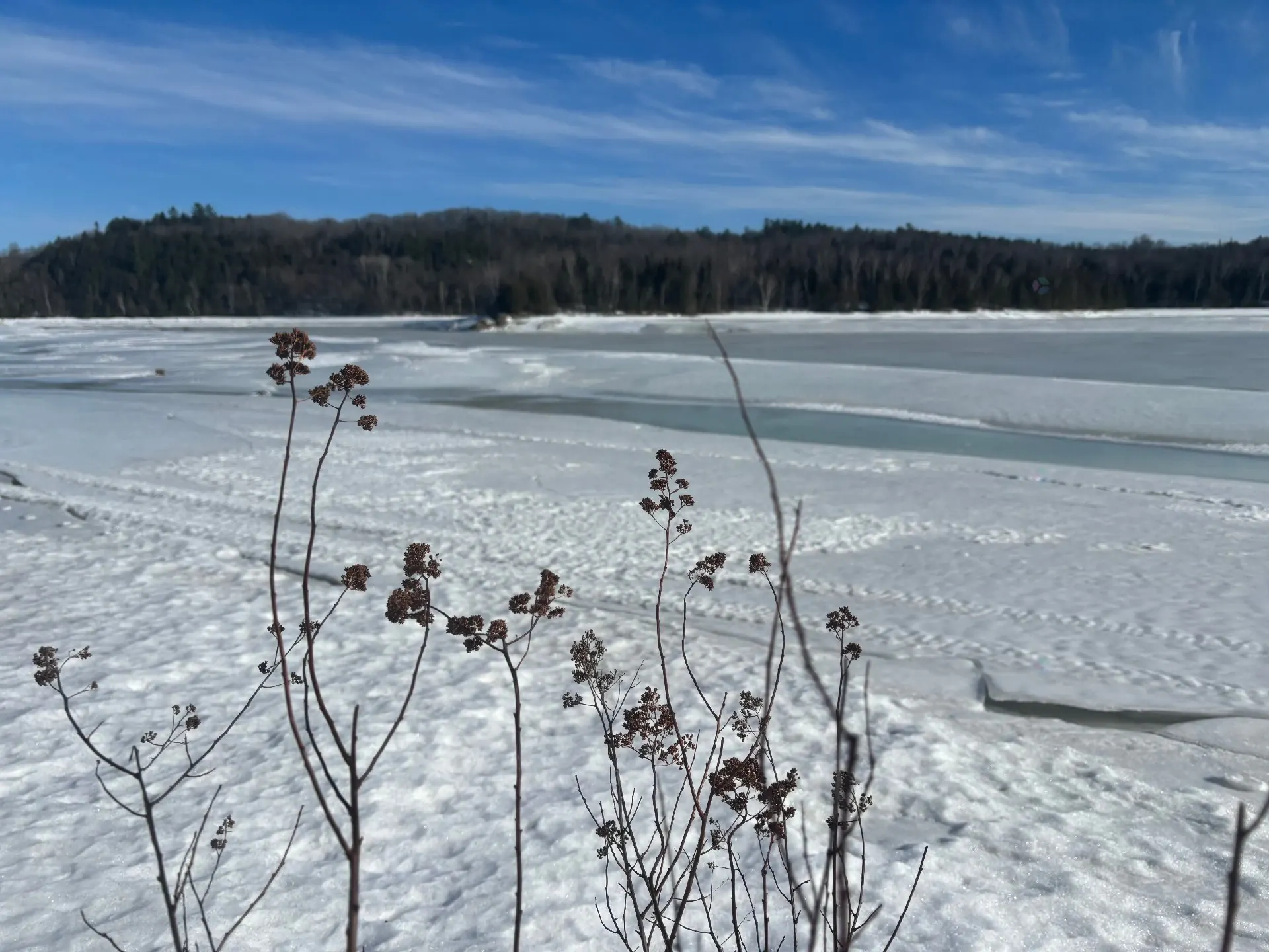 Terre/Terrain Terre/Terrain,