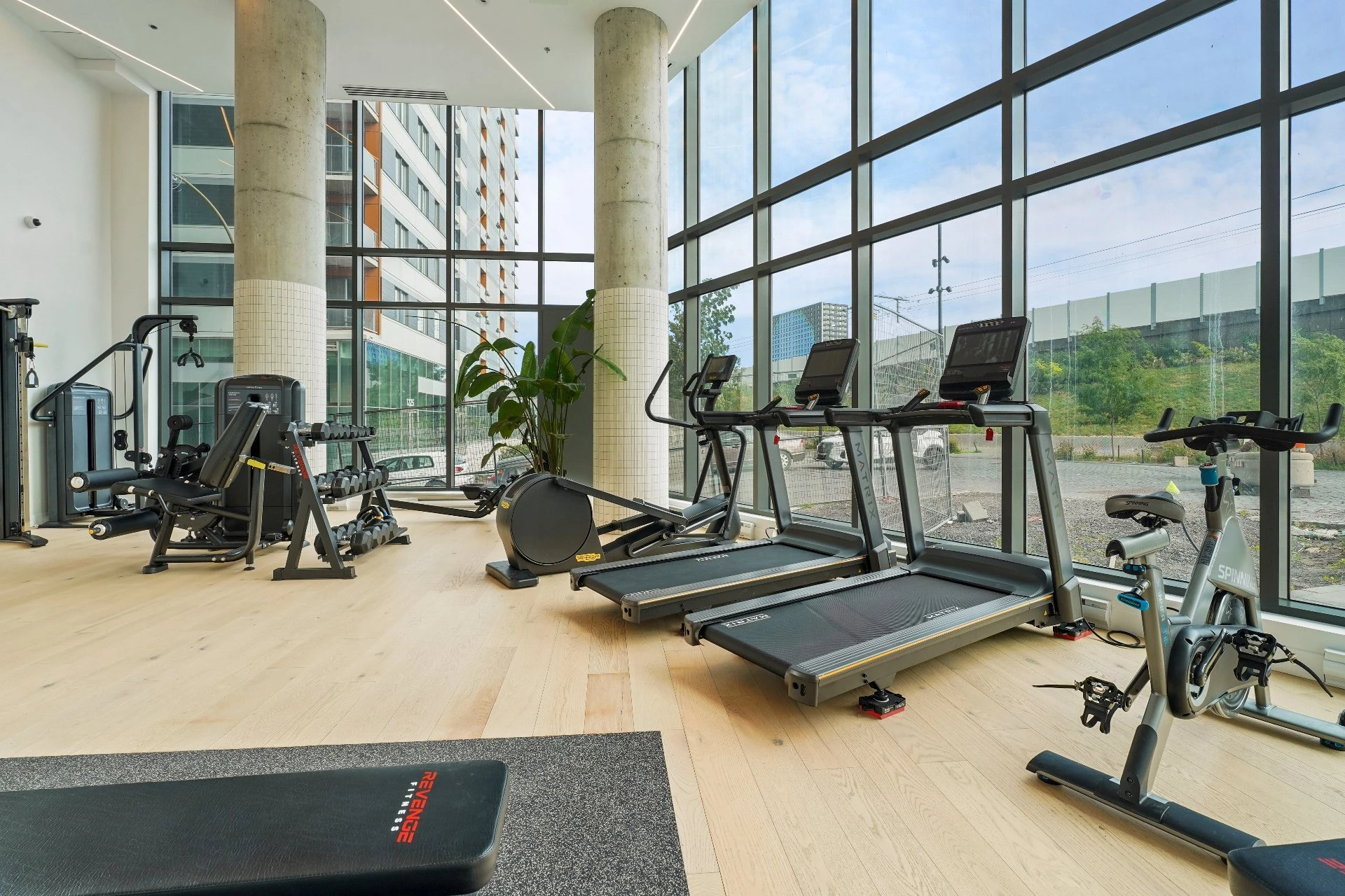 Salle d’exercice Salle d'exercice,