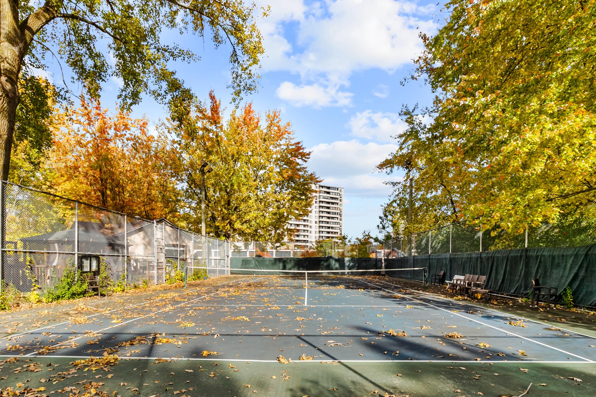 Tennis Court Tennis Court